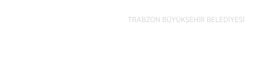 TİSKİ